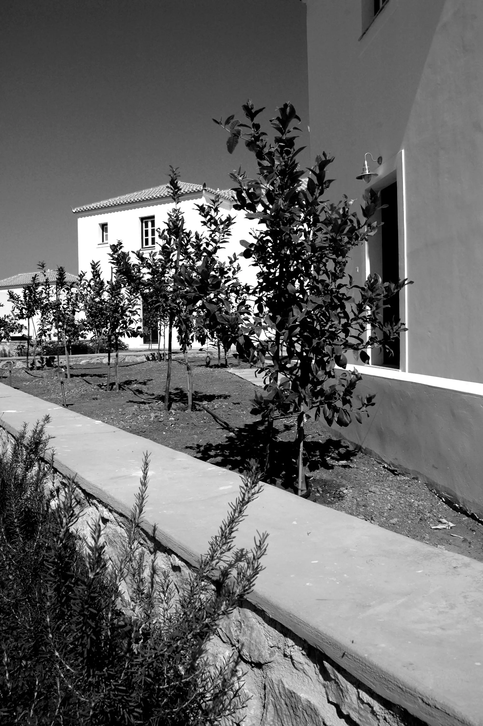 Resort Exterior